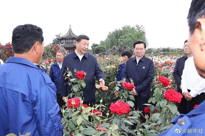 習近平河南行丨共享生態美景 助推鄉村振興——走進南陽月季博覽園 